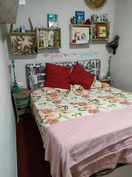 Apartament Volca Aiguanegra Sant Joan les Fonts 0*,